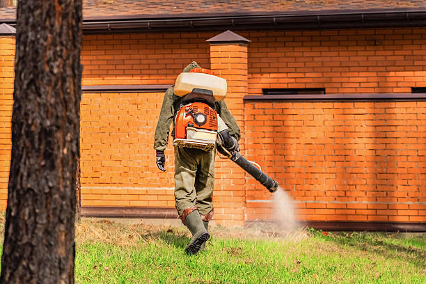 Bed Bug Clearance Verification and Documentation in Bressler